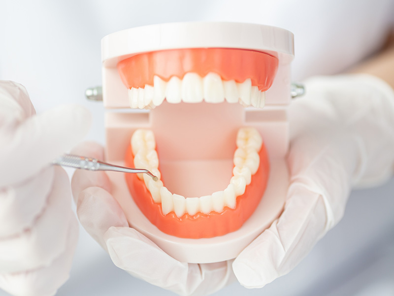 メンテナンス・定期健診のご案内